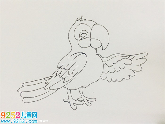 如何畫(huà)鸚鵡<a href=http://www.inspiredelm.com/jianbihua/ target=_blank class=infotextkey>簡(jiǎn)筆畫(huà)</a>步驟