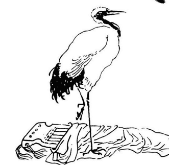 站立的丹頂鶴簡筆