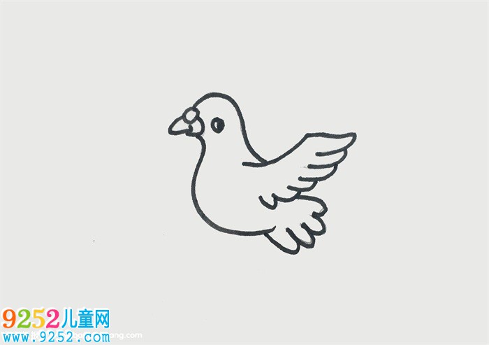 5歲畫簡單鴿子