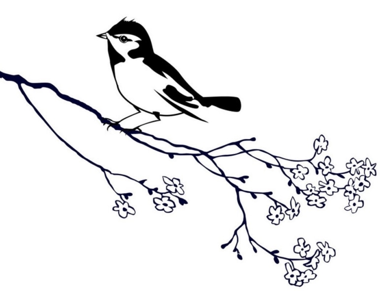 麻雀兒童簡(jiǎn)筆