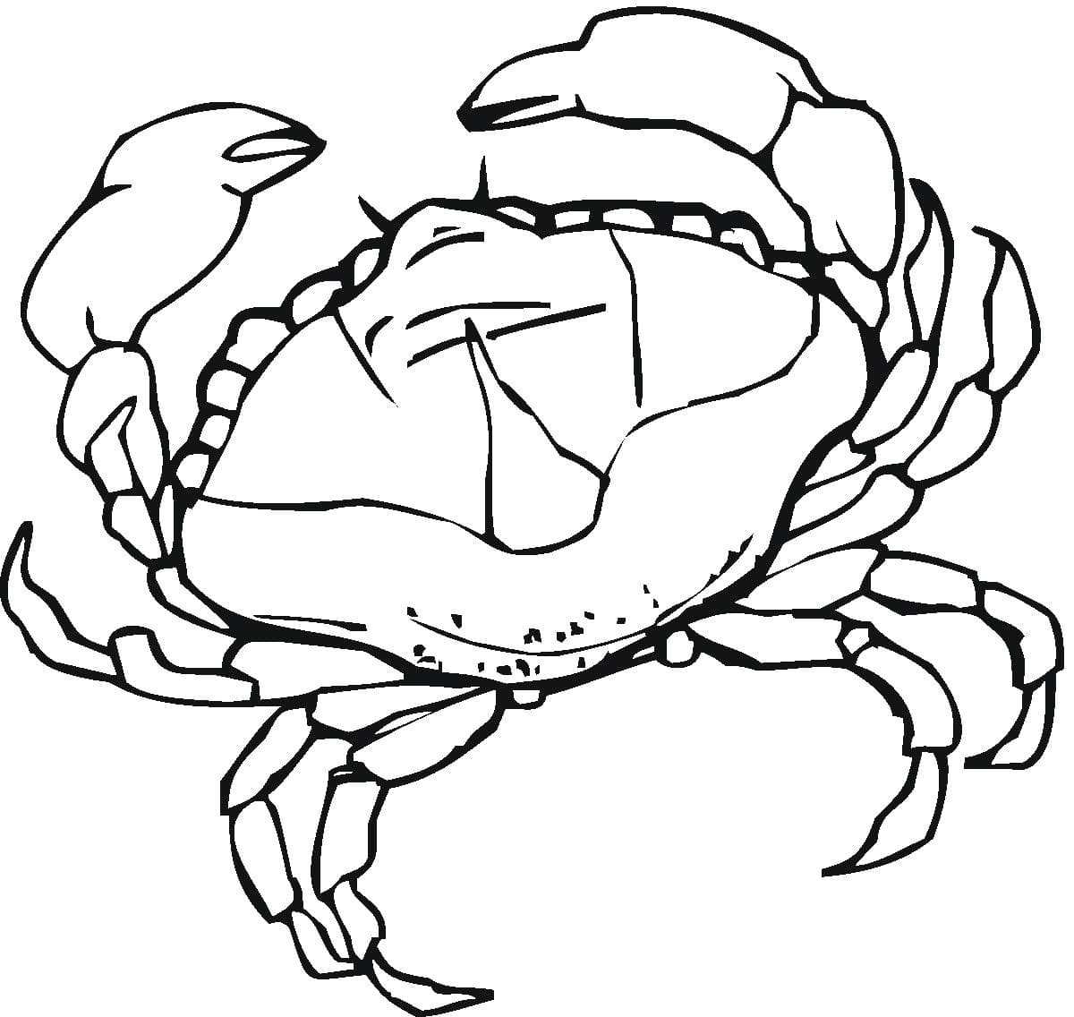動物螃蟹簡筆