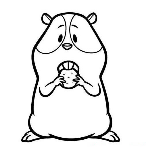 好看的動物簡筆畫大全，卡通豚鼠簡筆畫