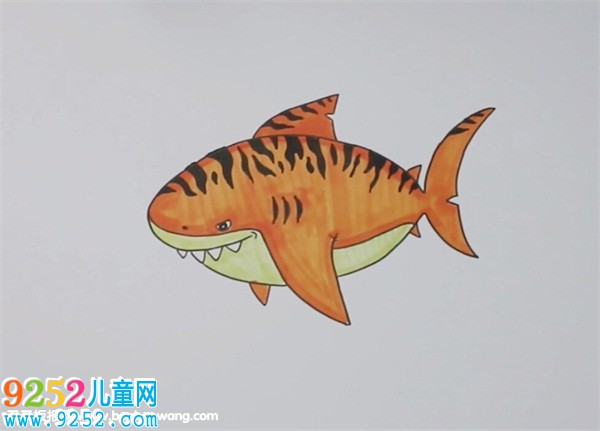 虎鯊<a href=http://www.inspiredelm.com/jianbihua/ target=_blank class=infotextkey>簡筆畫</a>