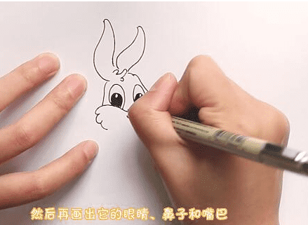 彩色的兔子簡筆步驟