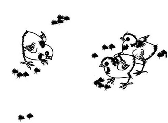 小公雞動物簡筆