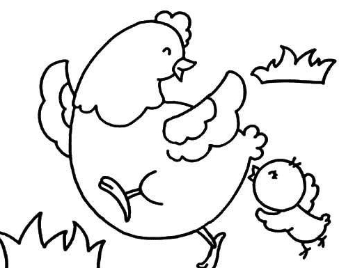 母雞和小雞簡(jiǎn)筆畫(huà)