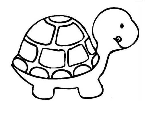 簡(jiǎn)單好看的烏龜簡(jiǎn)筆