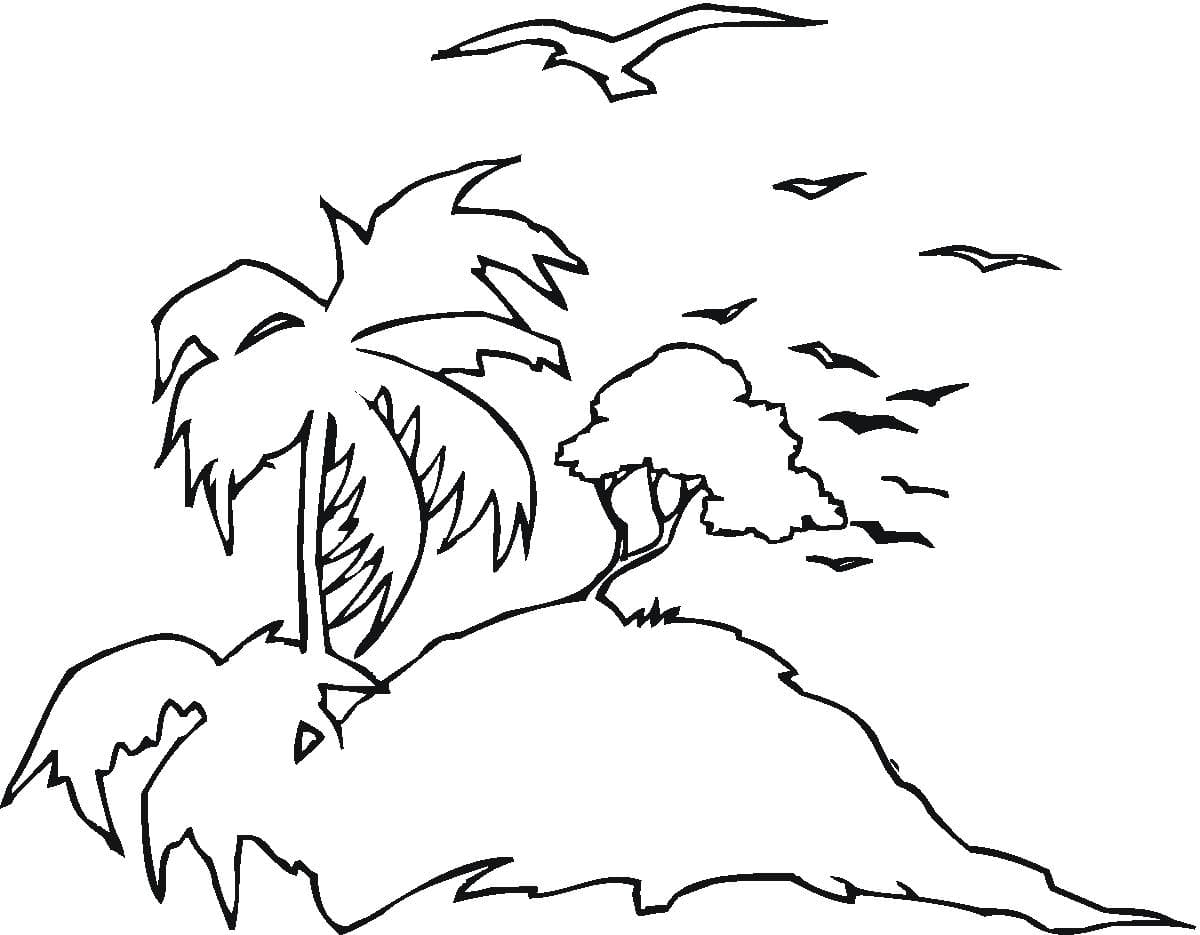 海鷗動(dòng)物簡(jiǎn)筆