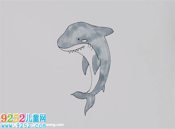 公牛鯊<a href=http://www.inspiredelm.com/jianbihua/ target=_blank class=infotextkey>簡(jiǎn)筆畫</a>