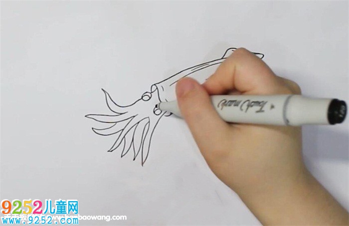 烏賊<a href=http://www.inspiredelm.com/jianbihua/ target=_blank class=infotextkey>簡(jiǎn)筆畫(huà)</a>