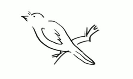 動物麻雀簡筆