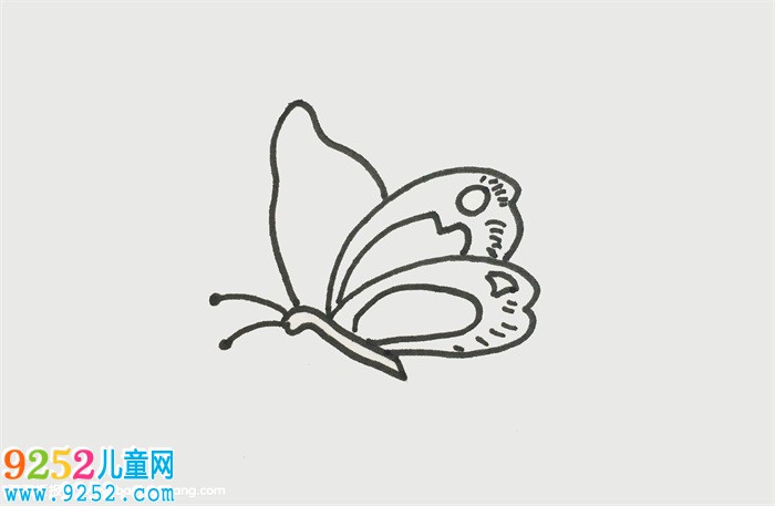 一筆一畫的蝴蝶畫法
