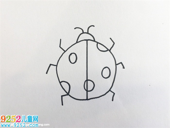 昆蟲怎么畫