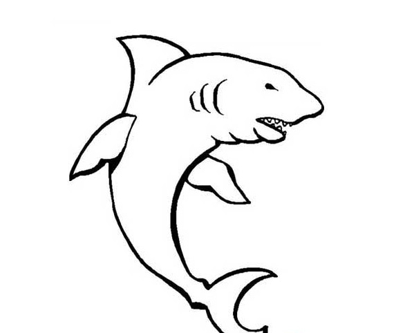 大鯊魚簡筆圖片