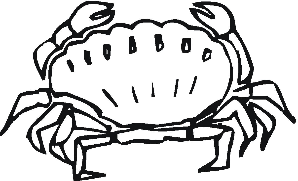 動物螃蟹簡筆