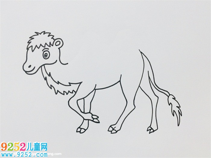 駱駝怎么畫