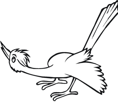 杜鵑鳥(niǎo)簡(jiǎn)筆畫(huà)