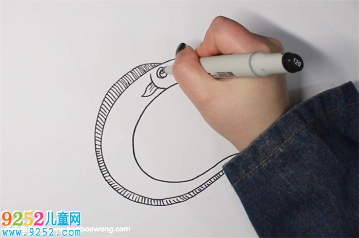 帶魚<a href=http://www.inspiredelm.com/jianbihua/ target=_blank class=infotextkey>簡筆畫</a>