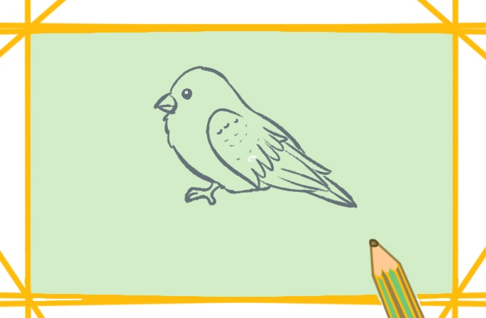 漂亮的鳥<a href=http://www.inspiredelm.com/jianbihua/ target=_blank class=infotextkey>簡筆畫</a>圖片怎么畫