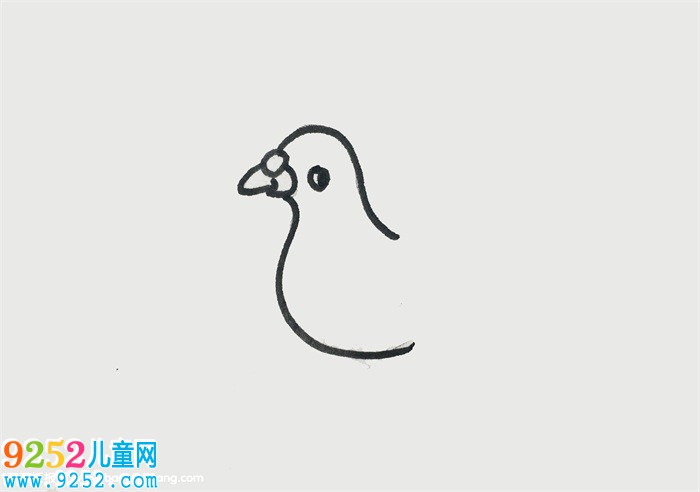 5歲畫簡單鴿子
