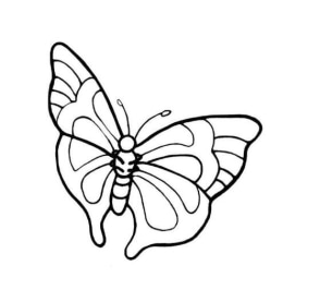 蝴蝶<a href=http://www.inspiredelm.com/jianbihua/ target=_blank class=infotextkey>簡筆畫</a>圖片大全