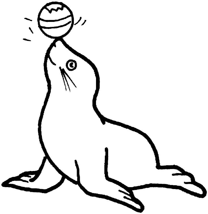 海獅<a href=http://www.inspiredelm.com/jianbihua/ target=_blank class=infotextkey>簡筆畫</a>