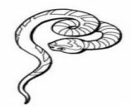 簡(jiǎn)單好看的蛇簡(jiǎn)筆