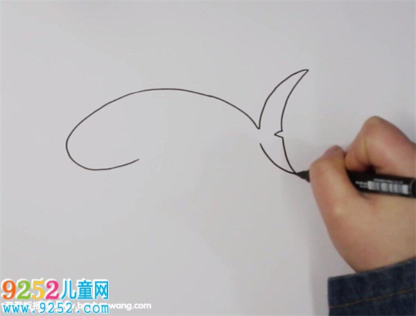 虎鯊<a href=http://www.inspiredelm.com/jianbihua/ target=_blank class=infotextkey>簡筆畫</a>
