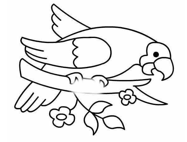 小鸚鵡兒童<a href=http://www.inspiredelm.com/jianbihua/ target=_blank class=infotextkey>簡筆畫</a>