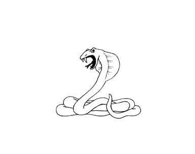 眼鏡蛇動(dòng)物簡(jiǎn)筆