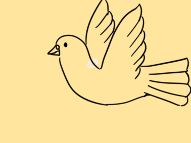 白色的和平鴿<a href=http://www.inspiredelm.com/jianbihua/ target=_blank class=infotextkey>簡筆畫</a>要怎么畫