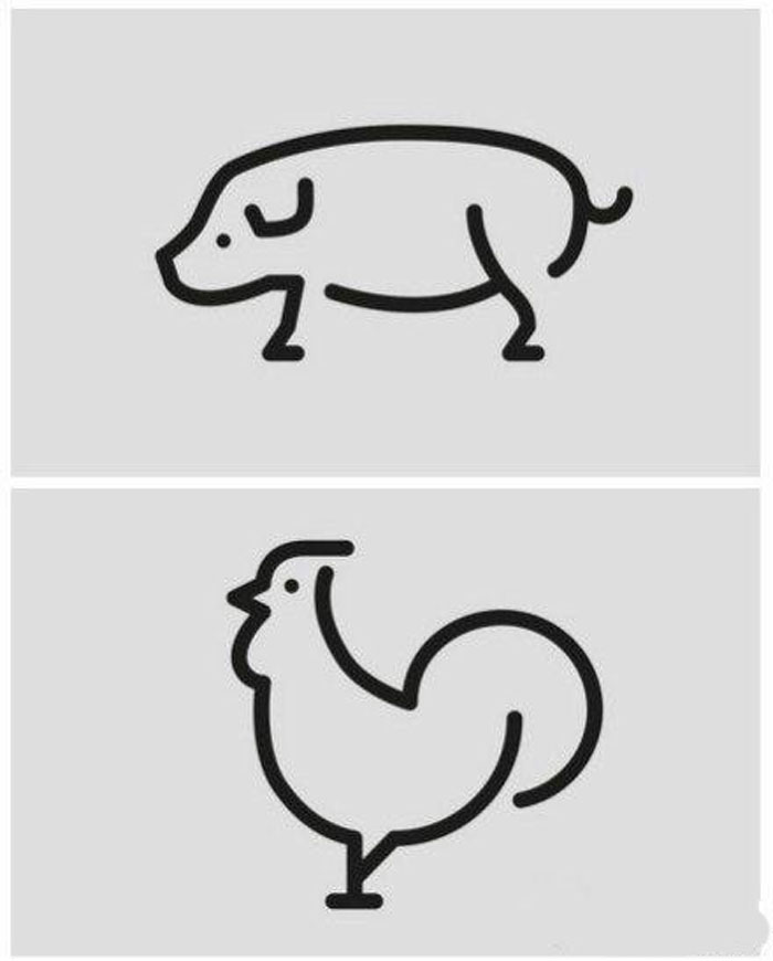 兒童動物簡筆畫大全，萌萌噠生肖豬和雞