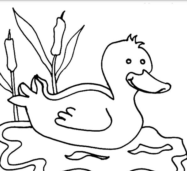 小鴨子兒童簡(jiǎn)筆