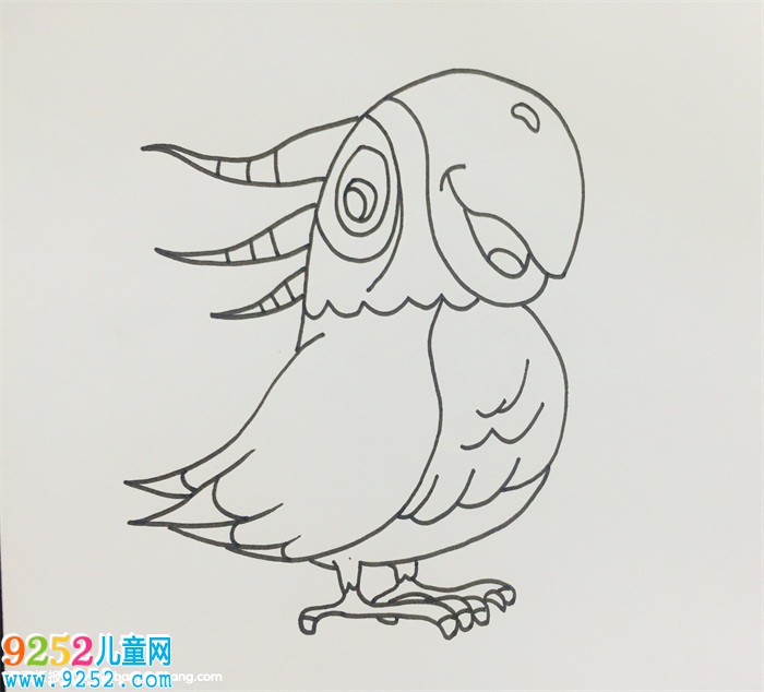 鸚鵡的畫法步驟