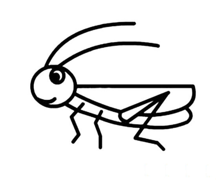 蝗蟲簡(jiǎn)筆畫