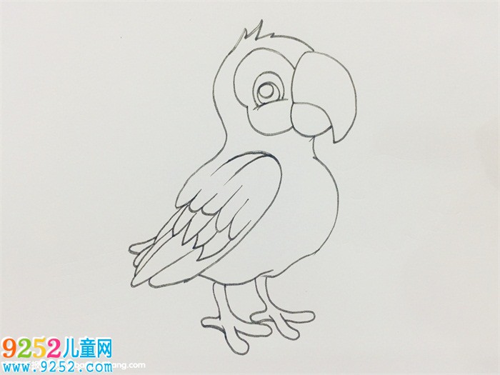 如何畫(huà)鸚鵡<a href=http://www.inspiredelm.com/jianbihua/ target=_blank class=infotextkey>簡(jiǎn)筆畫(huà)</a>步驟