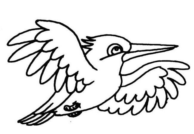 飛翔的小鳥(niǎo)<a href=http://www.inspiredelm.com/jianbihua/ target=_blank class=infotextkey>簡(jiǎn)筆畫(huà)</a>圖片_小鳥(niǎo)兒童繪畫(huà)作品圖集