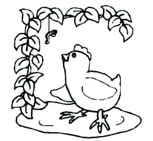 小公雞動物簡筆