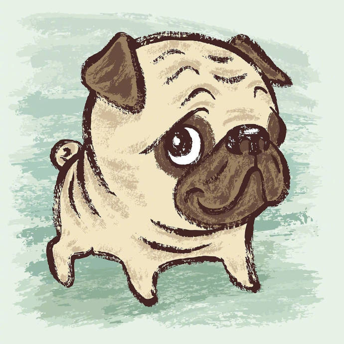 卡通動物簡筆畫圖片，斗牛犬簡筆畫