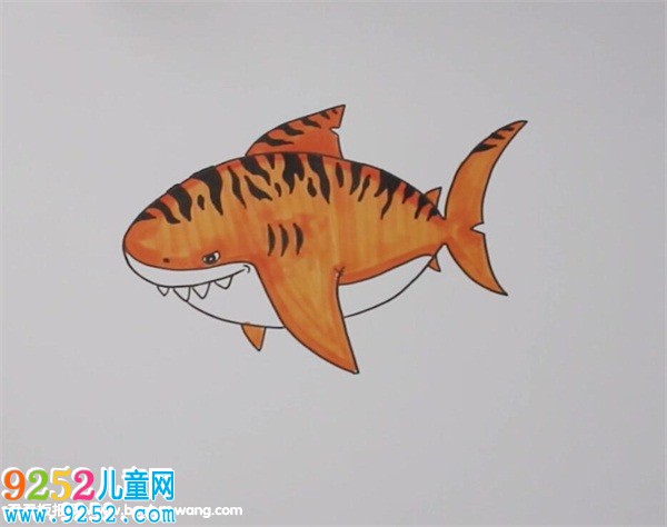 虎鯊<a href=http://www.inspiredelm.com/jianbihua/ target=_blank class=infotextkey>簡筆畫</a>