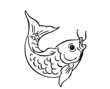 鯉魚(yú)動(dòng)物簡(jiǎn)筆畫(huà)