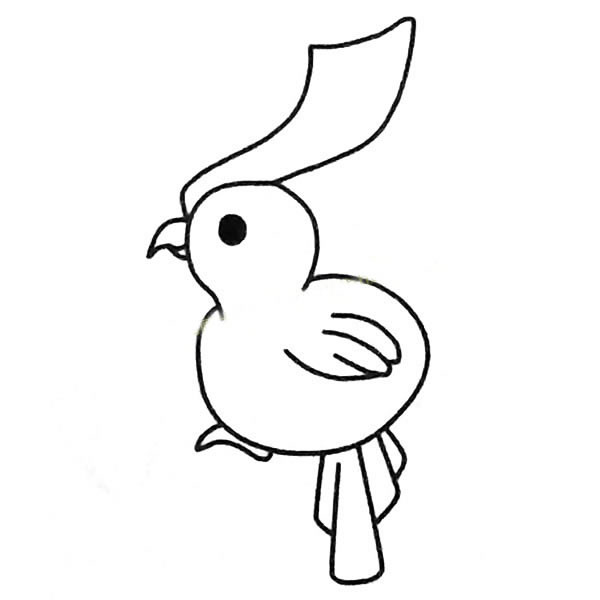 鸚鵡兒童簡筆