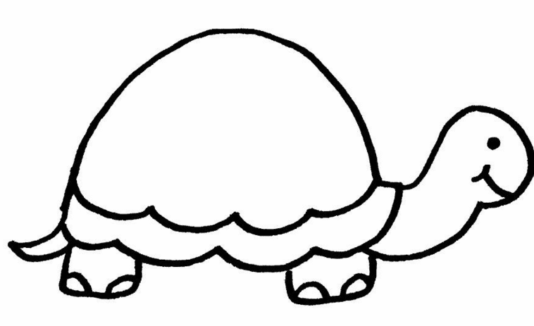 簡(jiǎn)單好看的烏龜簡(jiǎn)筆