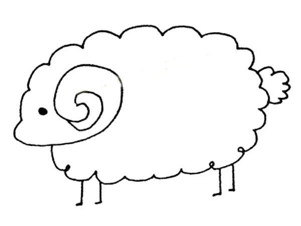 動物簡筆畫大全，溫順的綿羊