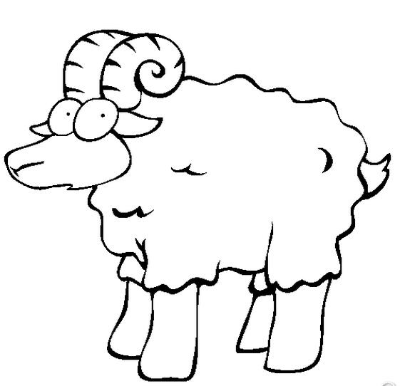 小綿羊動物簡筆