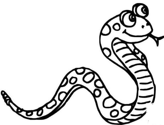 爬行的蛇<a href=http://www.inspiredelm.com/jianbihua/ target=_blank class=infotextkey>簡(jiǎn)筆畫(huà)</a>圖片_蛇兒童繪畫(huà)作品圖集