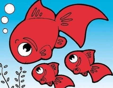 彩色的魚(yú)簡(jiǎn)筆
