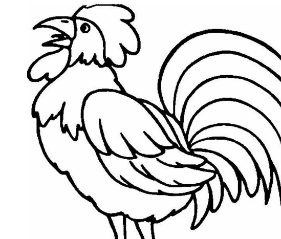 大公雞兒童簡筆