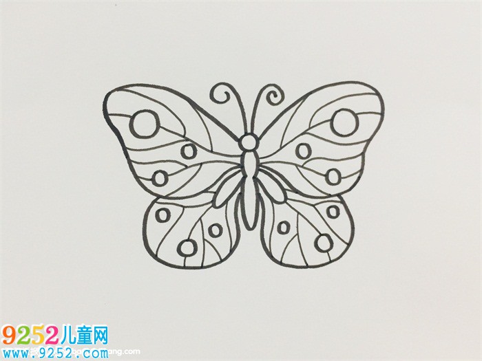 蝴蝶的花紋怎么畫