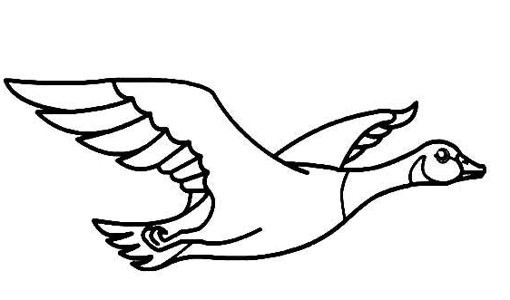 簡(jiǎn)單好看的大雁簡(jiǎn)筆